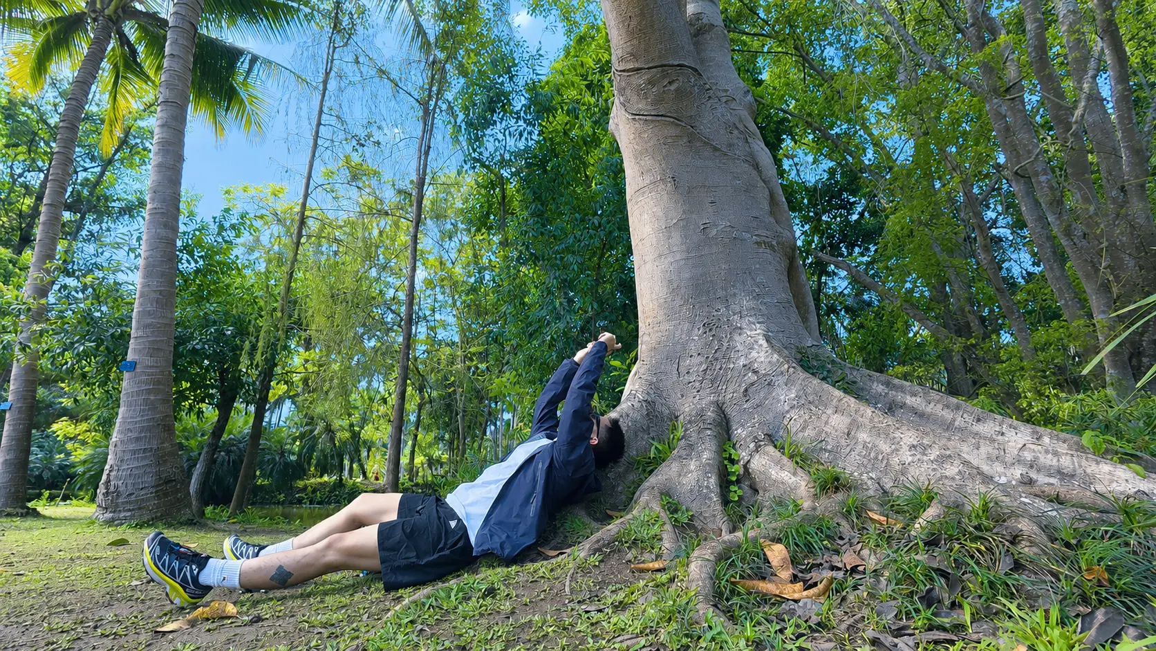 Bobby resting beneath a large tree