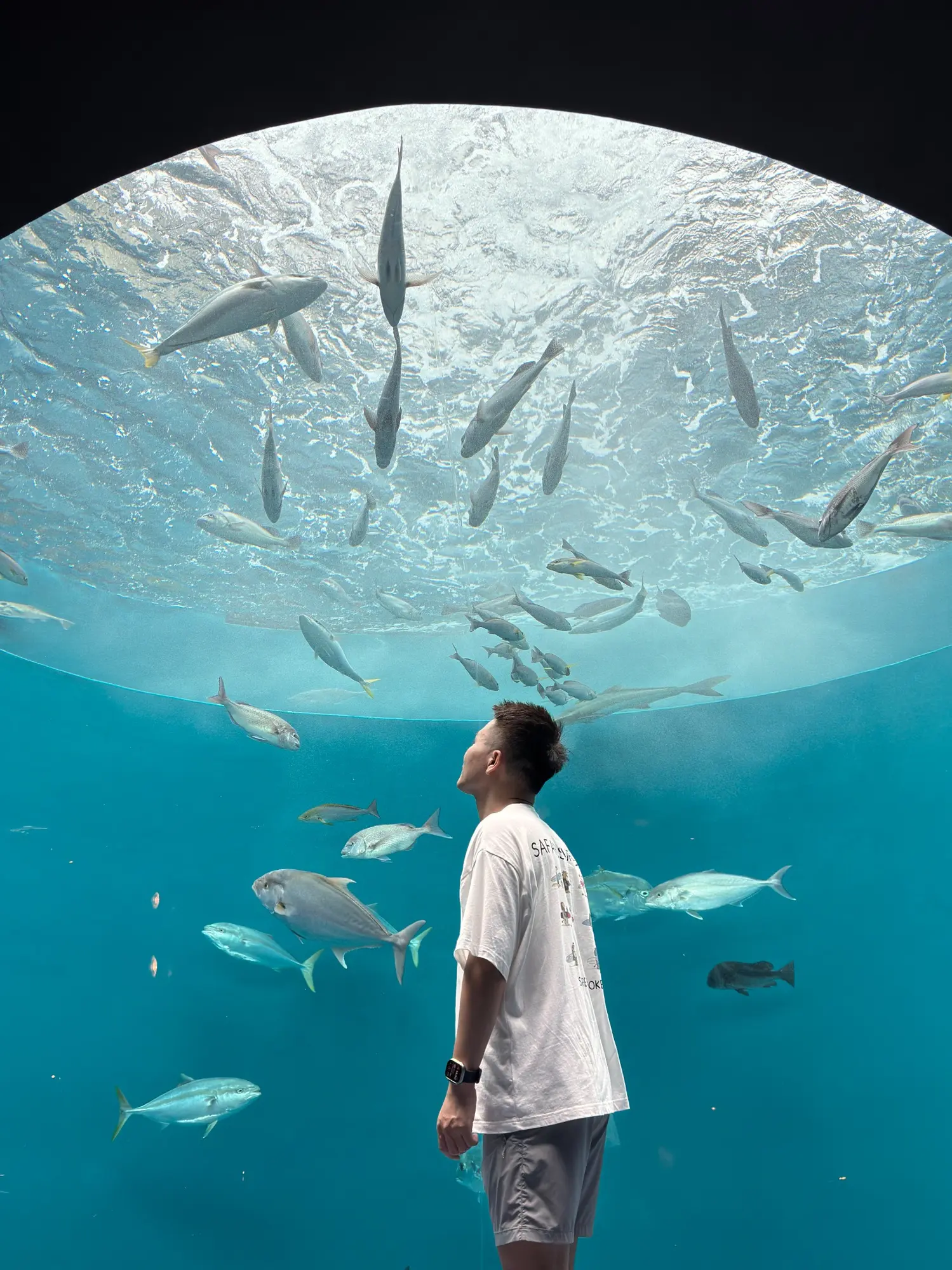 Bobby looking up at fish in an aquarium